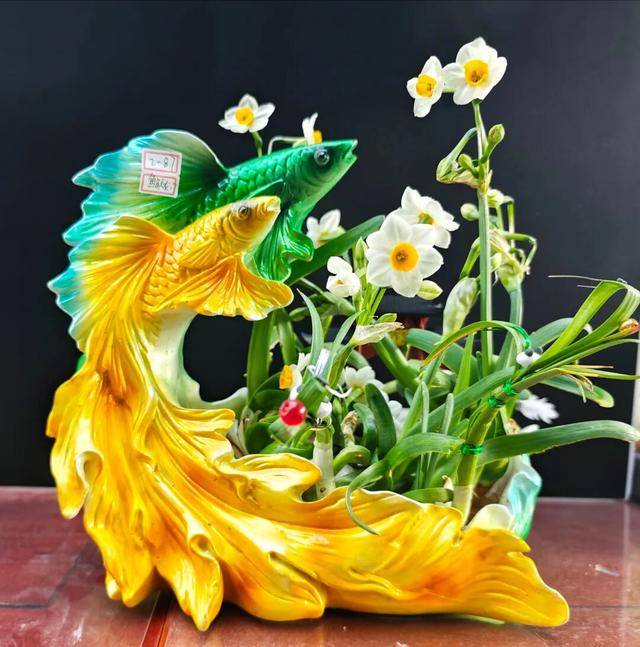 2026年新春水仙花展暨水仙雕刻藝術(shù)展亮相濟南公園