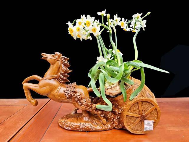 2026年新春水仙花展暨水仙雕刻藝術(shù)展亮相濟南公園