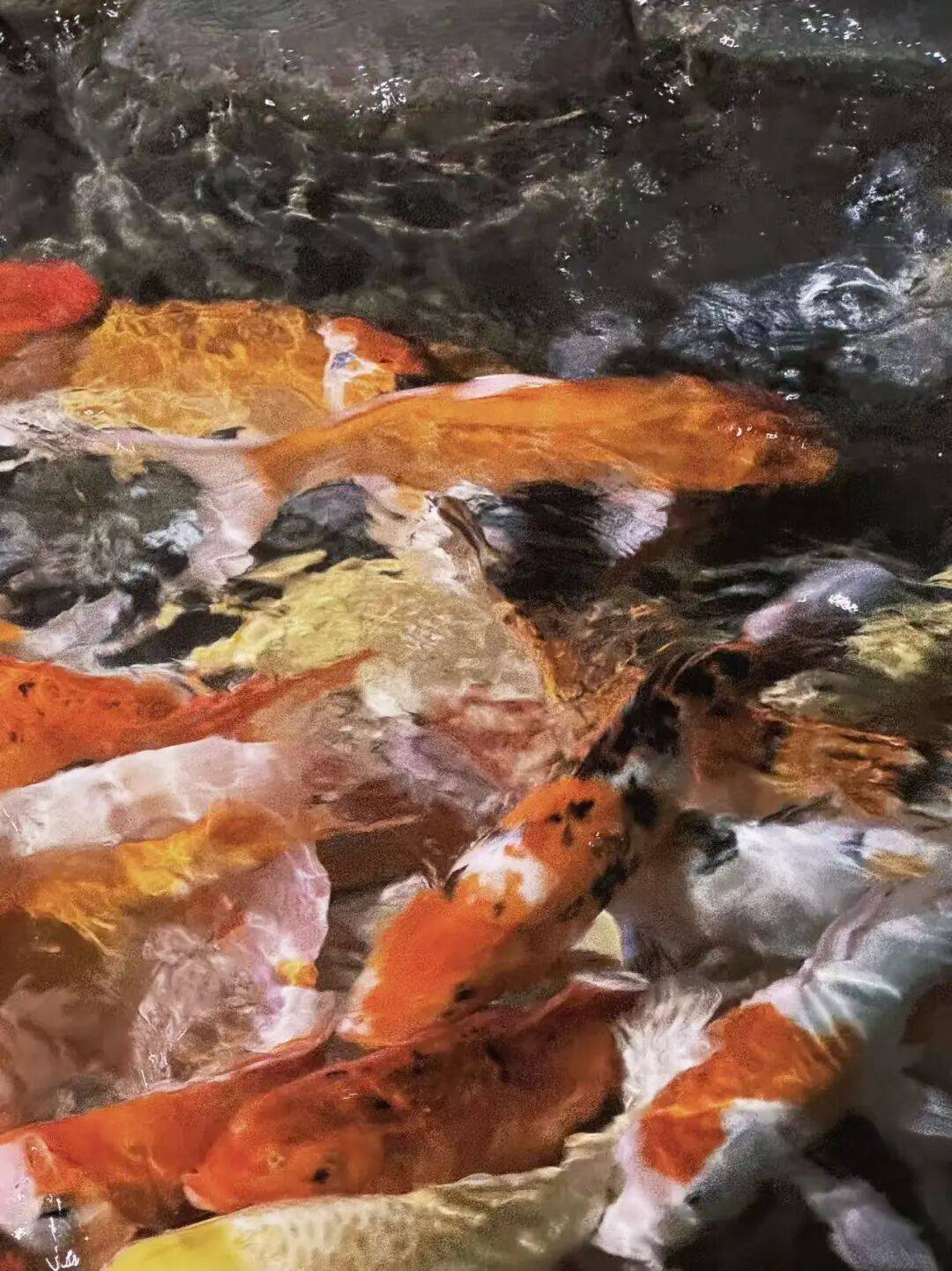 深夜，電子醫(yī)生，托起中老年人