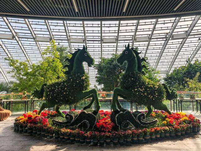 2026年新春水仙花展暨水仙雕刻藝術(shù)展亮相濟(jì)南公園