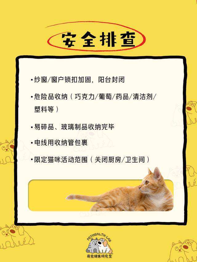 鏟屎官收藏！春節(jié)貓咪留守應(yīng)急清單，對(duì)照準(zhǔn)備