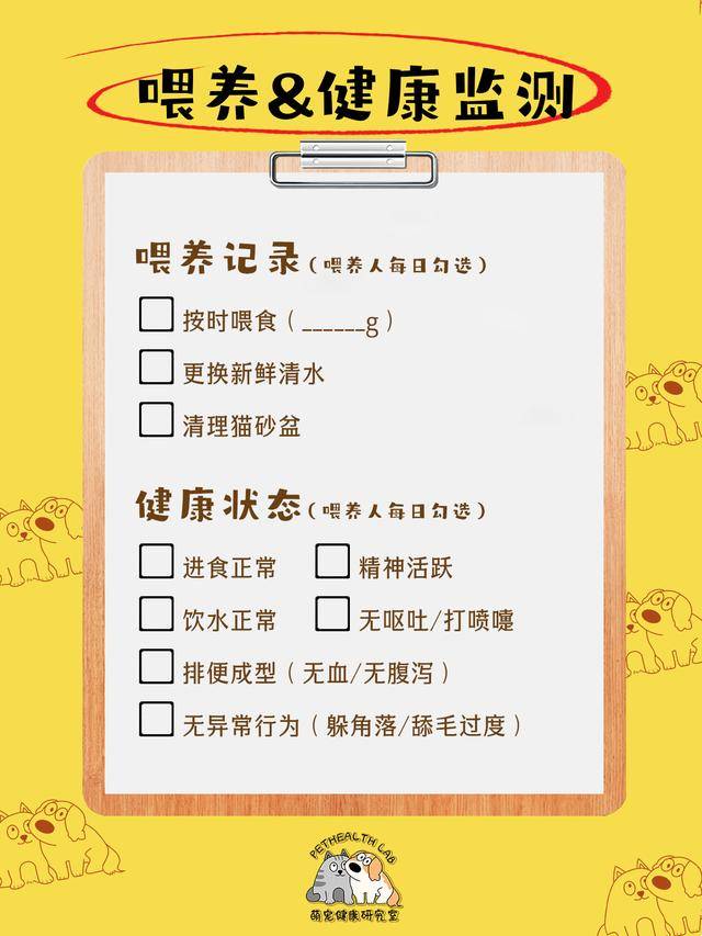 鏟屎官收藏！春節(jié)貓咪留守應(yīng)急清單，對(duì)照準(zhǔn)備