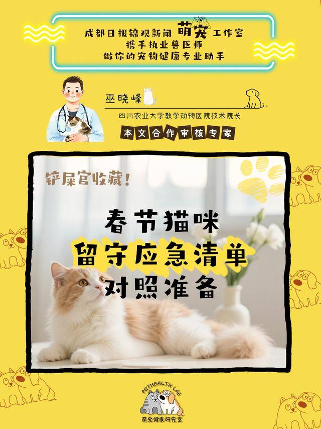 鏟屎官收藏！春節(jié)貓咪留守應(yīng)急清單，對照準(zhǔn)備