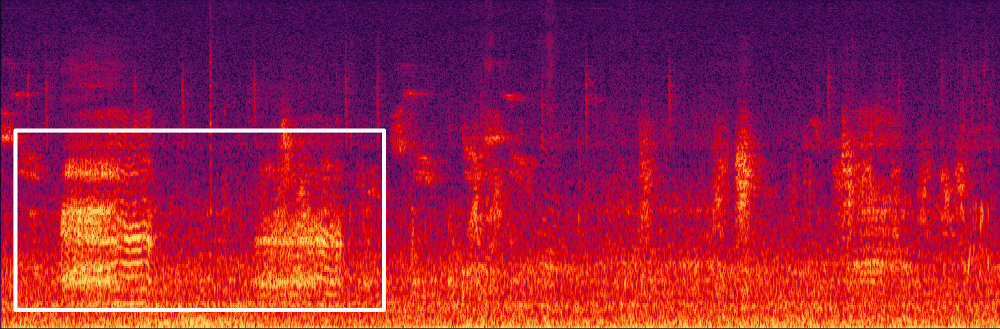 藏不住了！用科技解鎖大灣區(qū)中央濕地萌態(tài)圖鑒