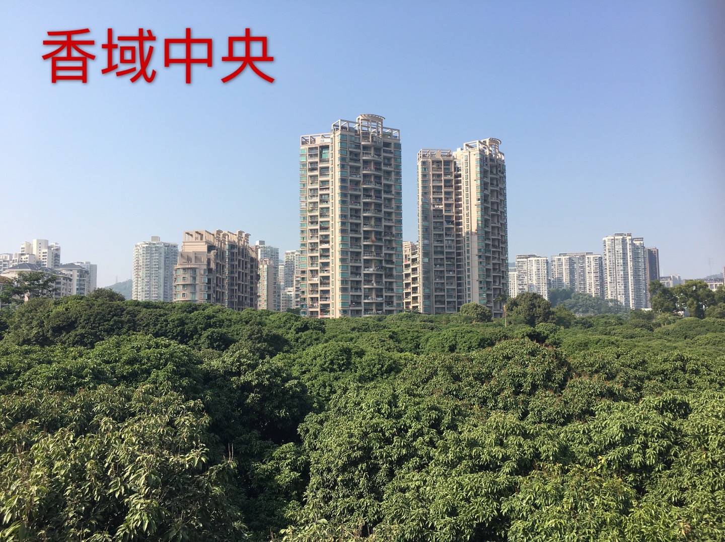 分析靠譜的天御香山花園房產(chǎn)銷售，分享口碑好的萬科臻山府房產(chǎn)銷售和推薦水榭花都房產(chǎn)銷售