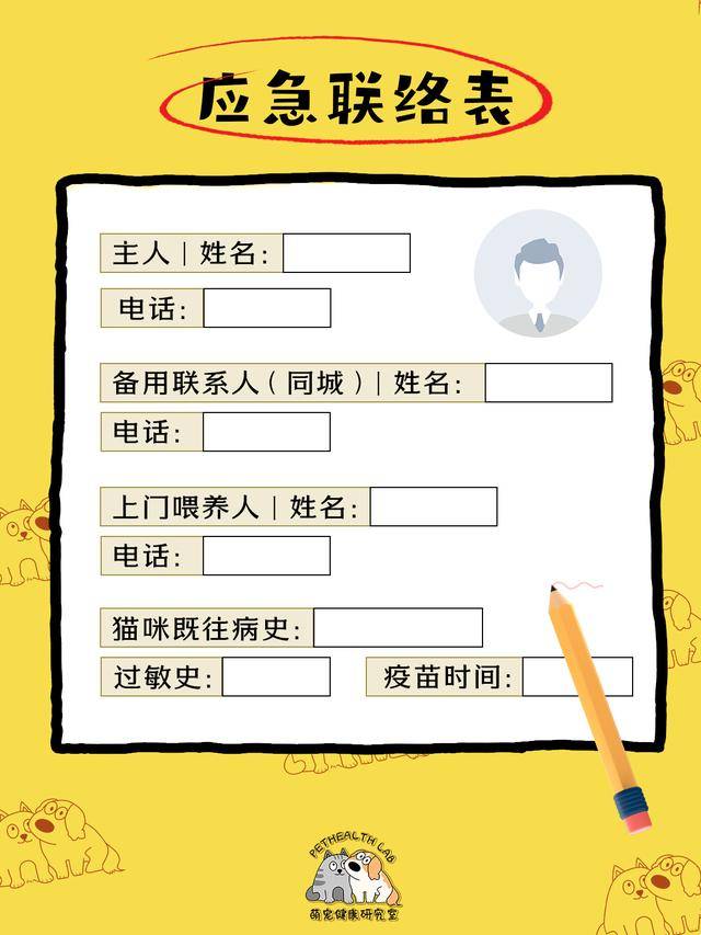 鏟屎官收藏！春節(jié)貓咪留守應(yīng)急清單，對(duì)照準(zhǔn)備