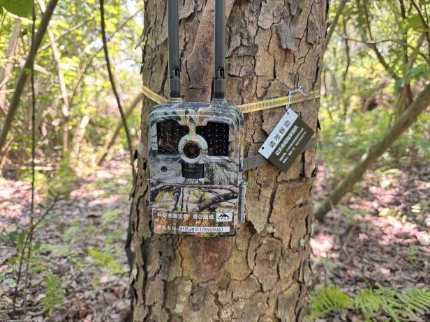 藏不住了！用科技解鎖大灣區(qū)中央濕地萌態(tài)圖鑒