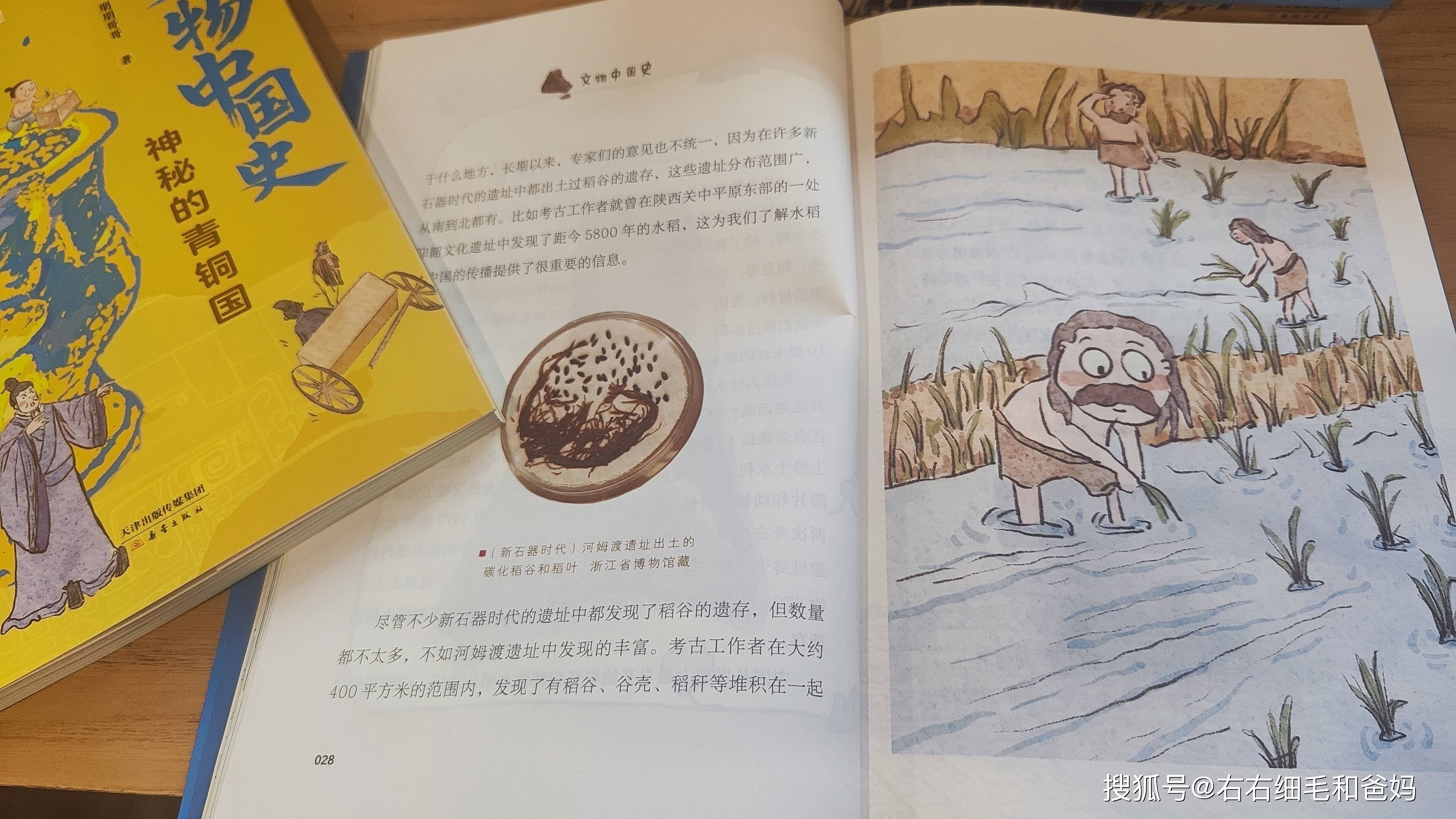 原創(chuàng)中考?xì)v史開卷反而丟分？86分敲響警鐘：小學(xué)欠的賬，初中藏不住