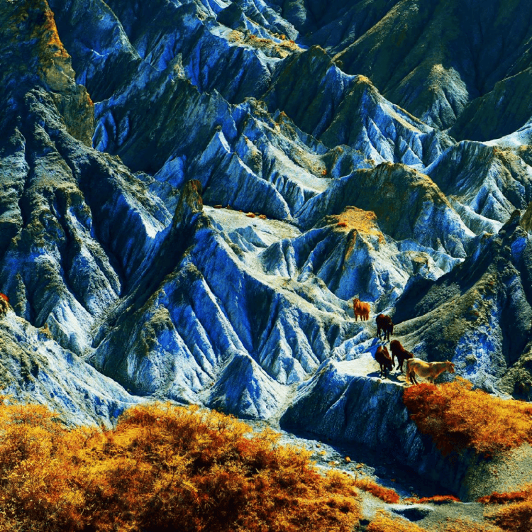 四川甘孜推出旅游景區(qū)終身門票一卡通，官方回應(yīng)三大核心問題