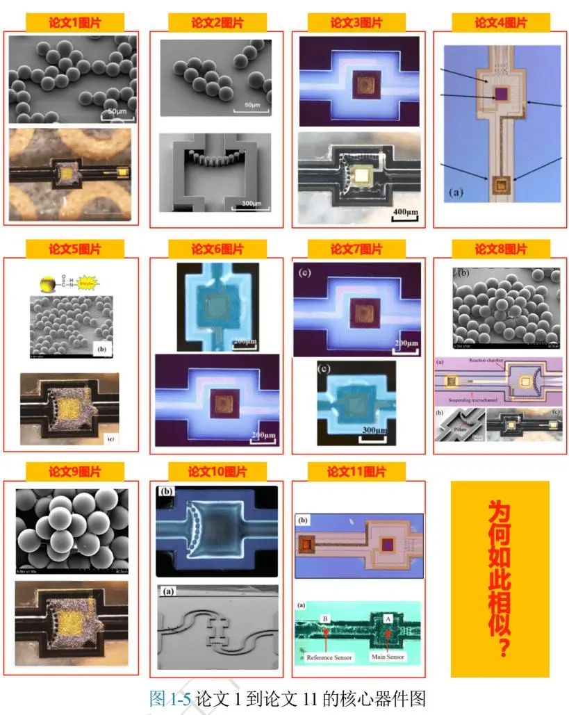 四川大學(xué)發(fā)通報：王竹卿多篇論文造假，指導(dǎo)研究生溝通失當(dāng)；崗位降級，停止研究生招生資格！