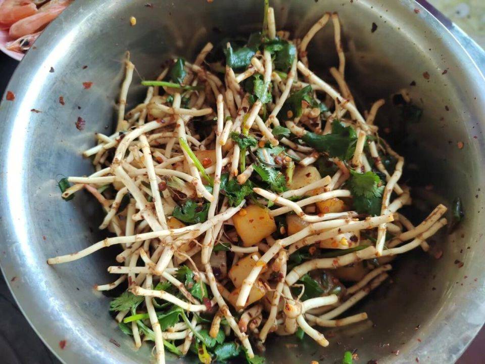 回家過年的年輕人，已經(jīng)用AI生成反催婚攻略、寫菜譜、拍寫真……