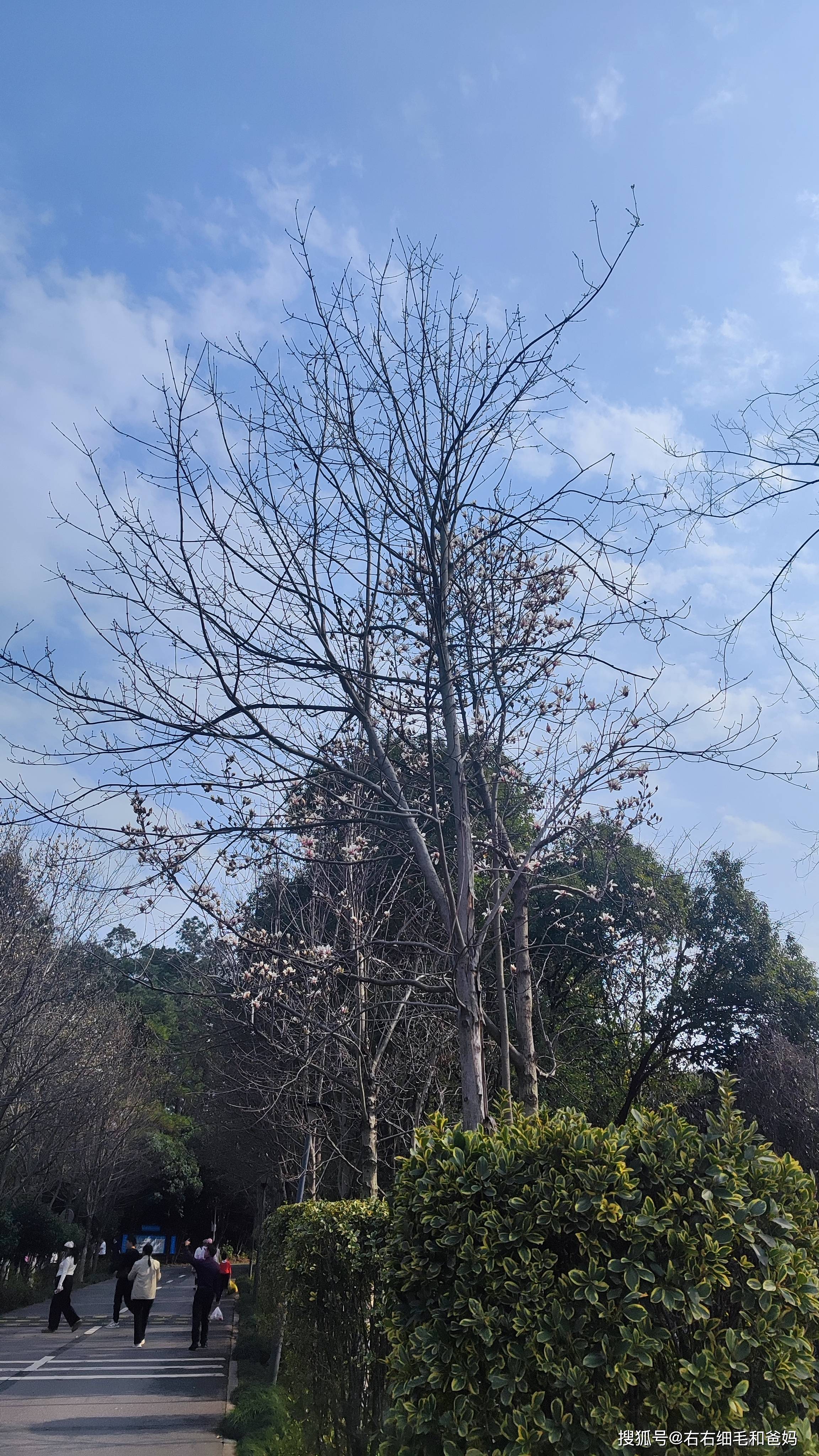 原創(chuàng)跑錯(cuò)方向的“搶跑”教育：公園里、公車上，被“逼”學(xué)習(xí)的5歲娃