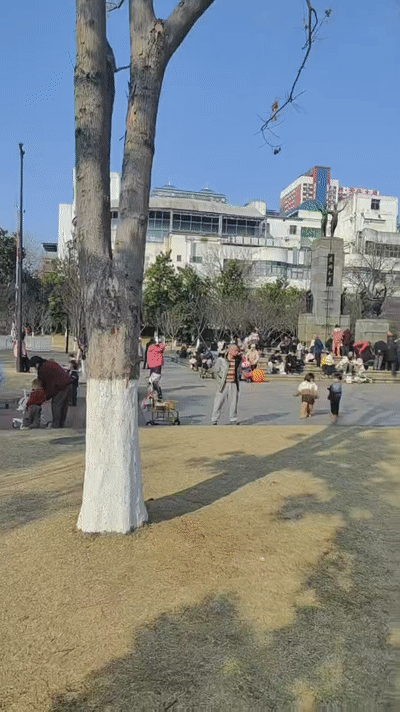 原創(chuàng)跑錯(cuò)方向的“搶跑”教育：公園里、公車上，被“逼”學(xué)習(xí)的5歲娃