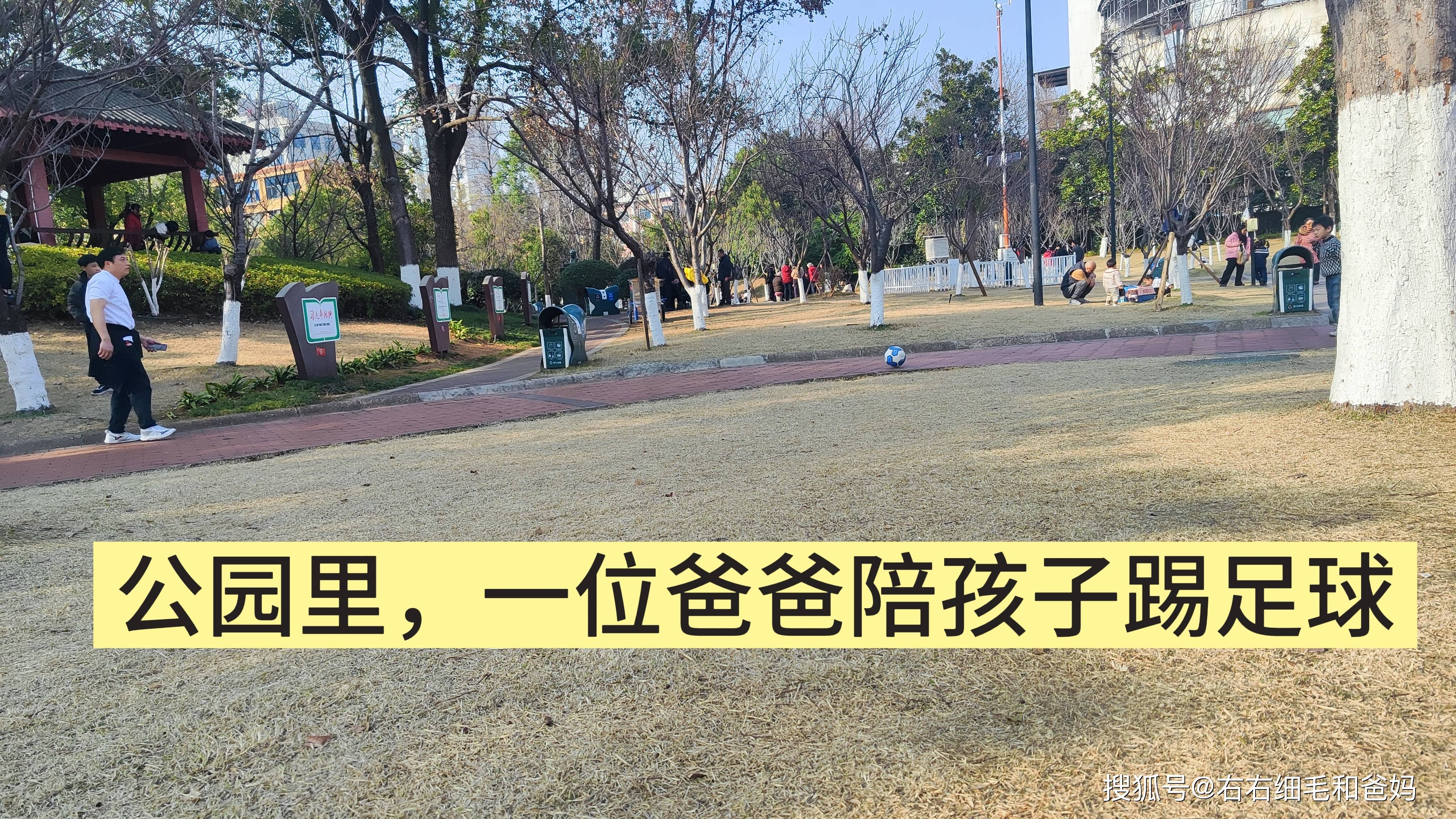 原創(chuàng)跑錯(cuò)方向的“搶跑”教育：公園里、公車上，被“逼”學(xué)習(xí)的5歲娃