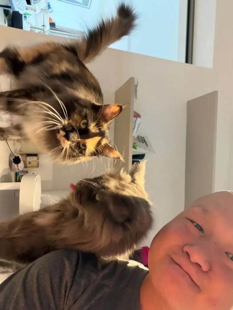 春節(jié)寵物托管經(jīng)濟(jì)升溫：店主接到2000單 大學(xué)生寒假賺上萬元