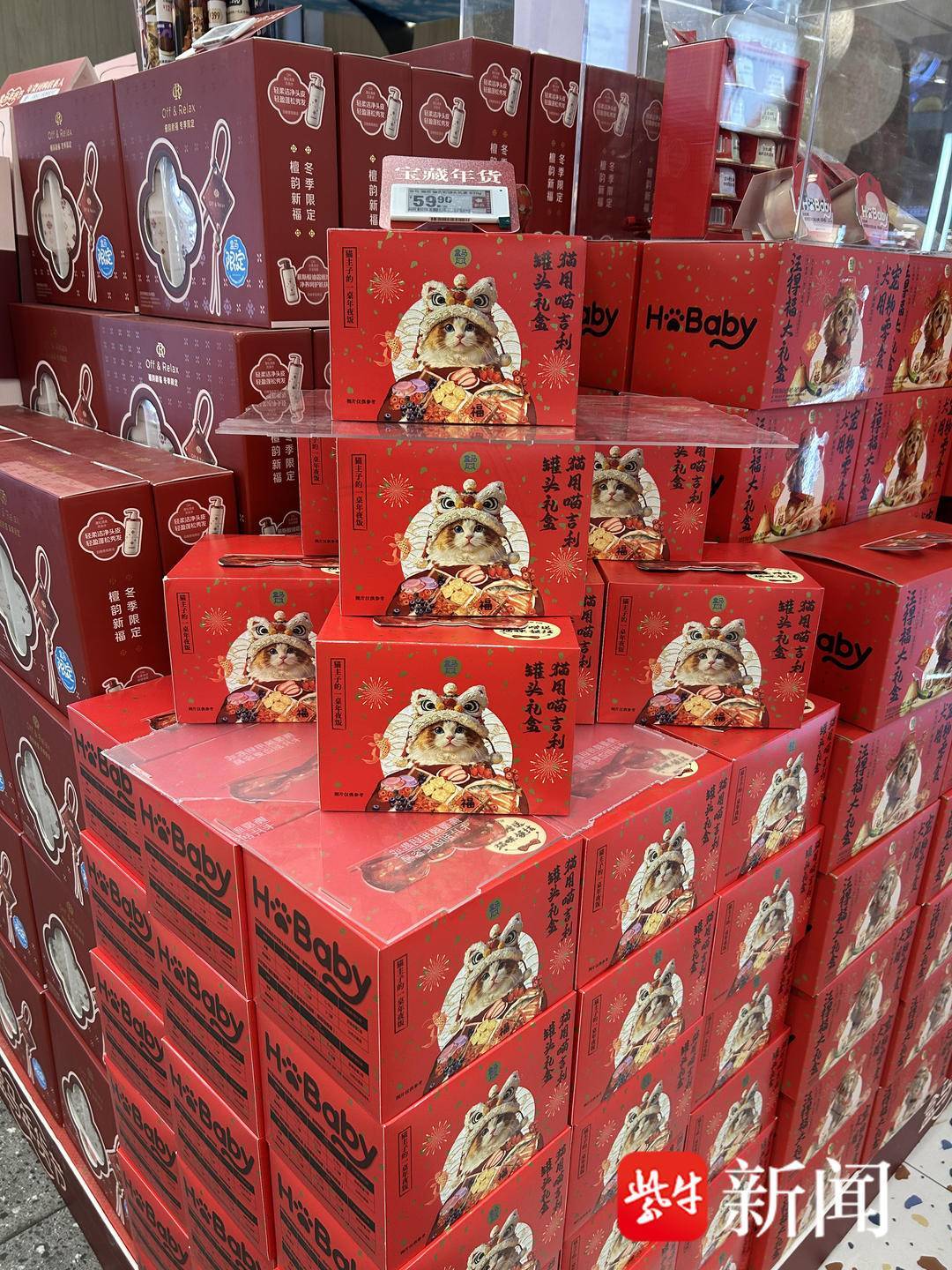 春節(jié)前南京寵物消費(fèi)有多火爆？貓狗有專屬年夜飯、壓歲錢，美容比人類“托尼”還難約