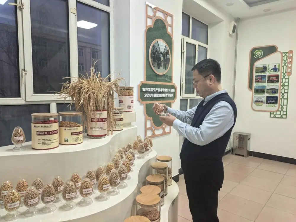 黑龍江：以?shī)^進(jìn)之筆書寫堅(jiān)實(shí)的教育答卷