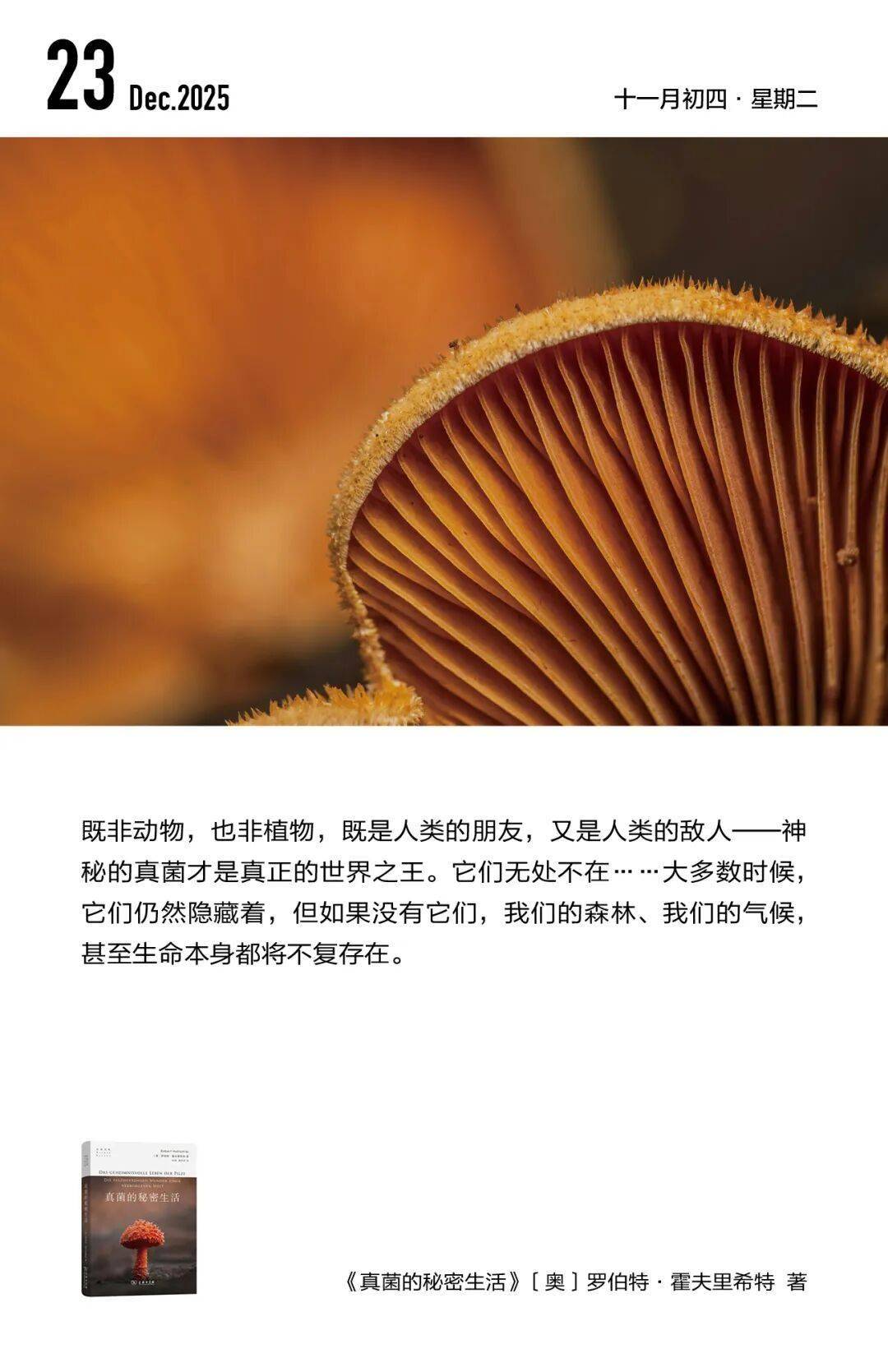法律是否必然需要解釋？新書《法律解釋理論：推論語義學(xué)的視角》