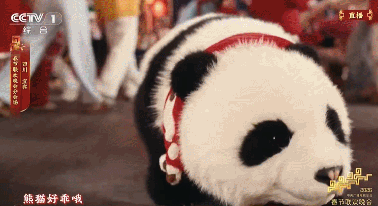 一次看個(gè)夠！馬年春晚里的中式美學(xué)與前沿科技，哪些驚艷了你？