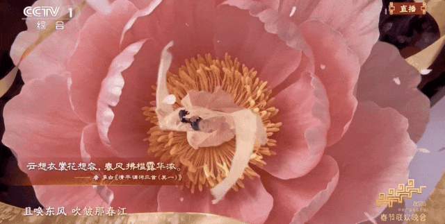 一次看個(gè)夠！馬年春晚里的中式美學(xué)與前沿科技，哪些驚艷了你？