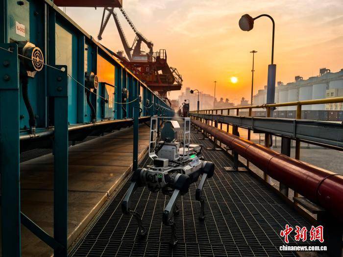 （新春走基層）“機(jī)器人家族”值守青島港 護(hù)航“中國(guó)年”物流動(dòng)脈