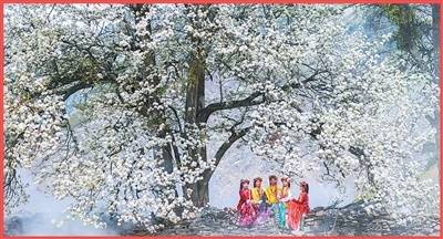 雪山下的“非遺”藏寨（文化中國行·視線·最佳旅游鄉(xiāng)村）