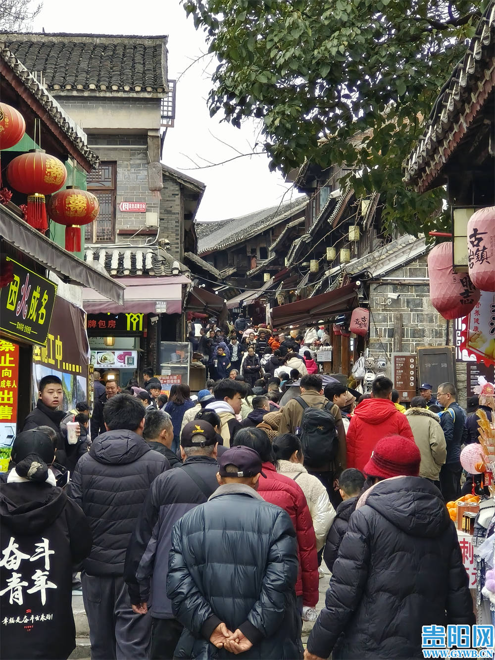 青巖古鎮(zhèn)成為新春旅游熱門打卡地