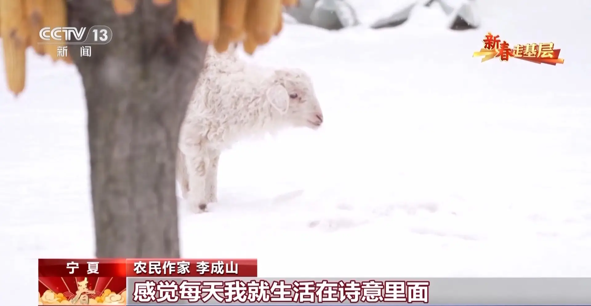 新春走基層丨詩(shī)歌為犁 文學(xué)為種 木蘭書院在黃土坡上耕書香
