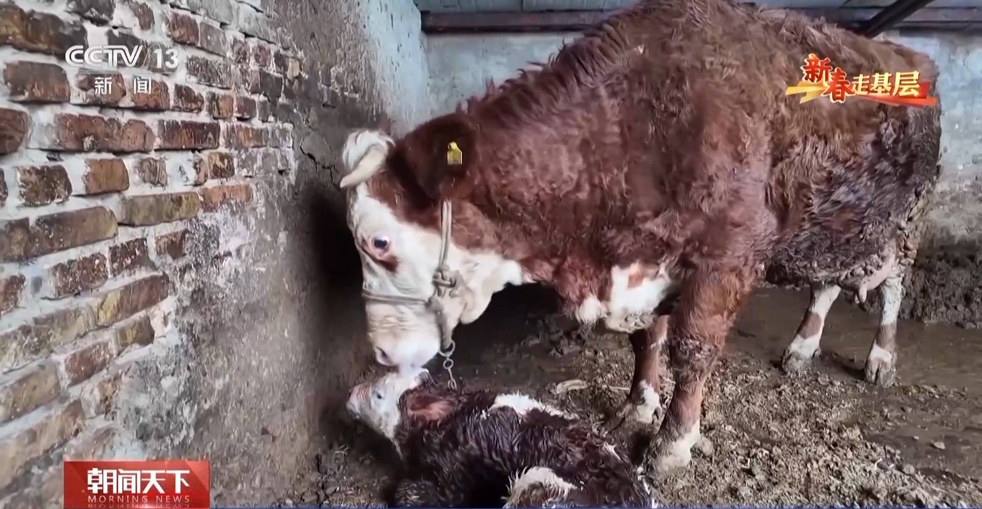 新春走基層丨詩(shī)歌為犁 文學(xué)為種 木蘭書院在黃土坡上耕書香
