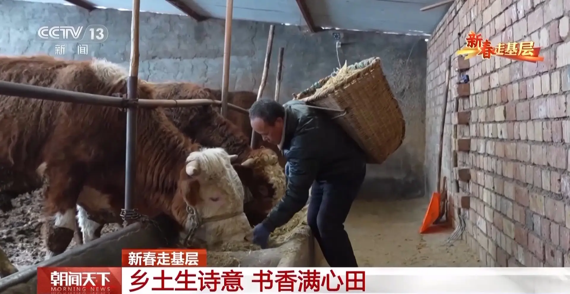 新春走基層丨詩(shī)歌為犁 文學(xué)為種 木蘭書院在黃土坡上耕書香