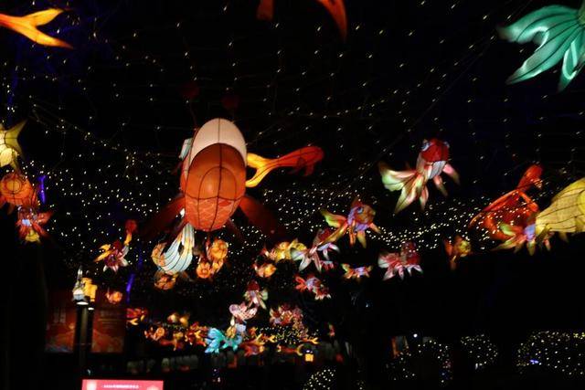 逛圓明園賞燈會(huì)！留學(xué)生在海淀沉浸式體驗(yàn)“中國(guó)年”