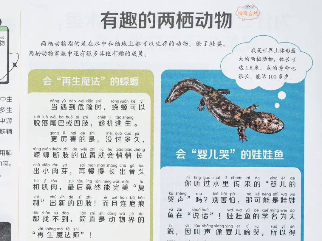 新的隱形攀比，正在小學(xué)悄悄流行！老師從來不說，但家長要知道