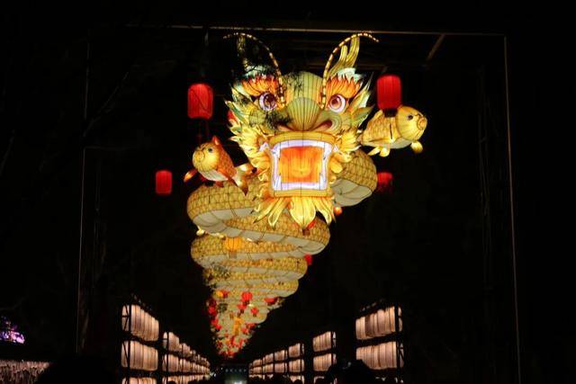 逛圓明園賞燈會(huì)！留學(xué)生在海淀沉浸式體驗(yàn)“中國(guó)年”