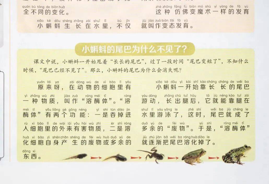 新的隱形攀比，正在小學(xué)悄悄流行！老師從來不說，但家長要知道