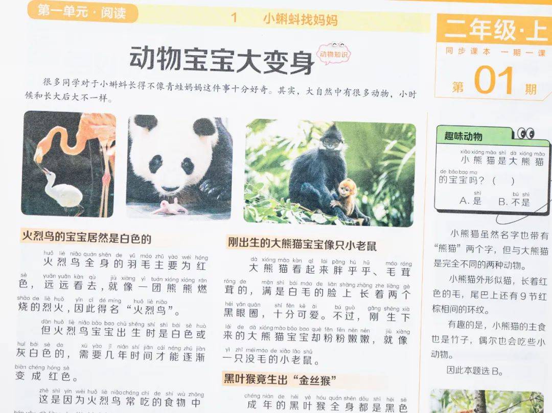 新的隱形攀比，正在小學(xué)悄悄流行！老師從來不說，但家長要知道