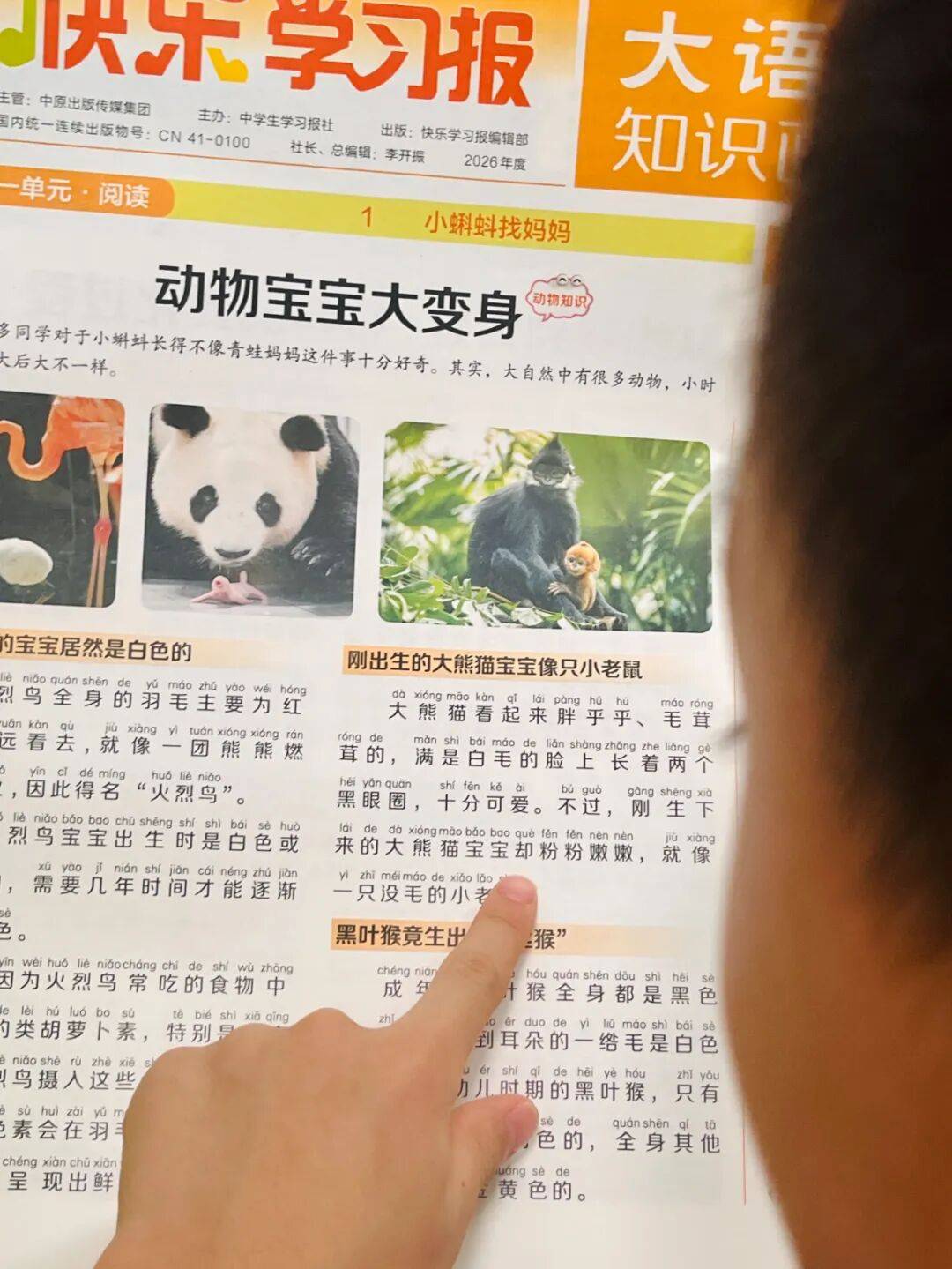 新的隱形攀比，正在小學(xué)悄悄流行！老師從來不說，但家長要知道