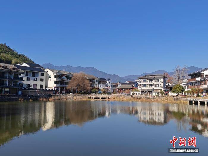 （新春走基層）浙江高校黨外代表人士筑夢(mèng)綠水青山間 以科技賦能鄉(xiāng)村共富