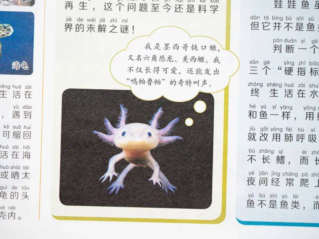 新的隱形攀比，正在小學(xué)悄悄流行！老師從來不說，但家長要知道