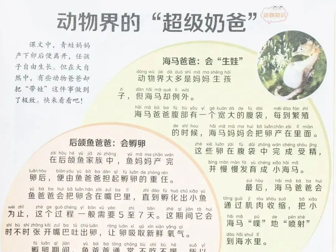 新的隱形攀比，正在小學(xué)悄悄流行！老師從來不說，但家長要知道