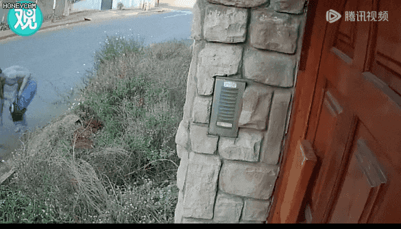 太拼了！為了保住畢業(yè)論文，研究生遭持槍搶劫時也沒撒手...