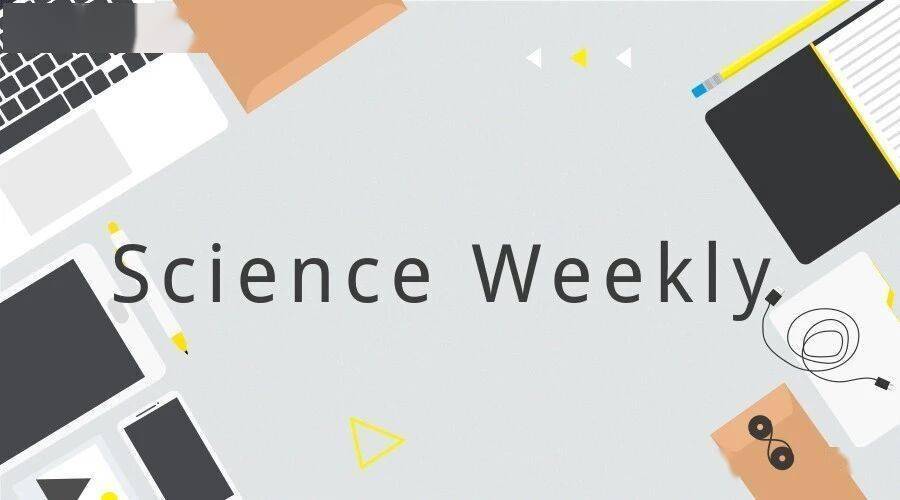 癌癥領域有多少論文出自“論文工廠”？