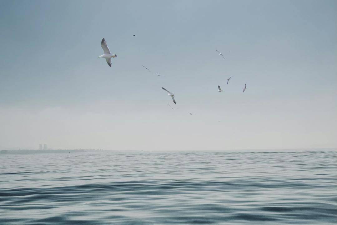 原創(chuàng)100個(gè)近期收藏的情緒短句，喜歡可收藏