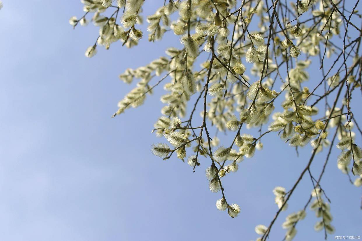 朝拜不必遠(yuǎn)去（詩歌）