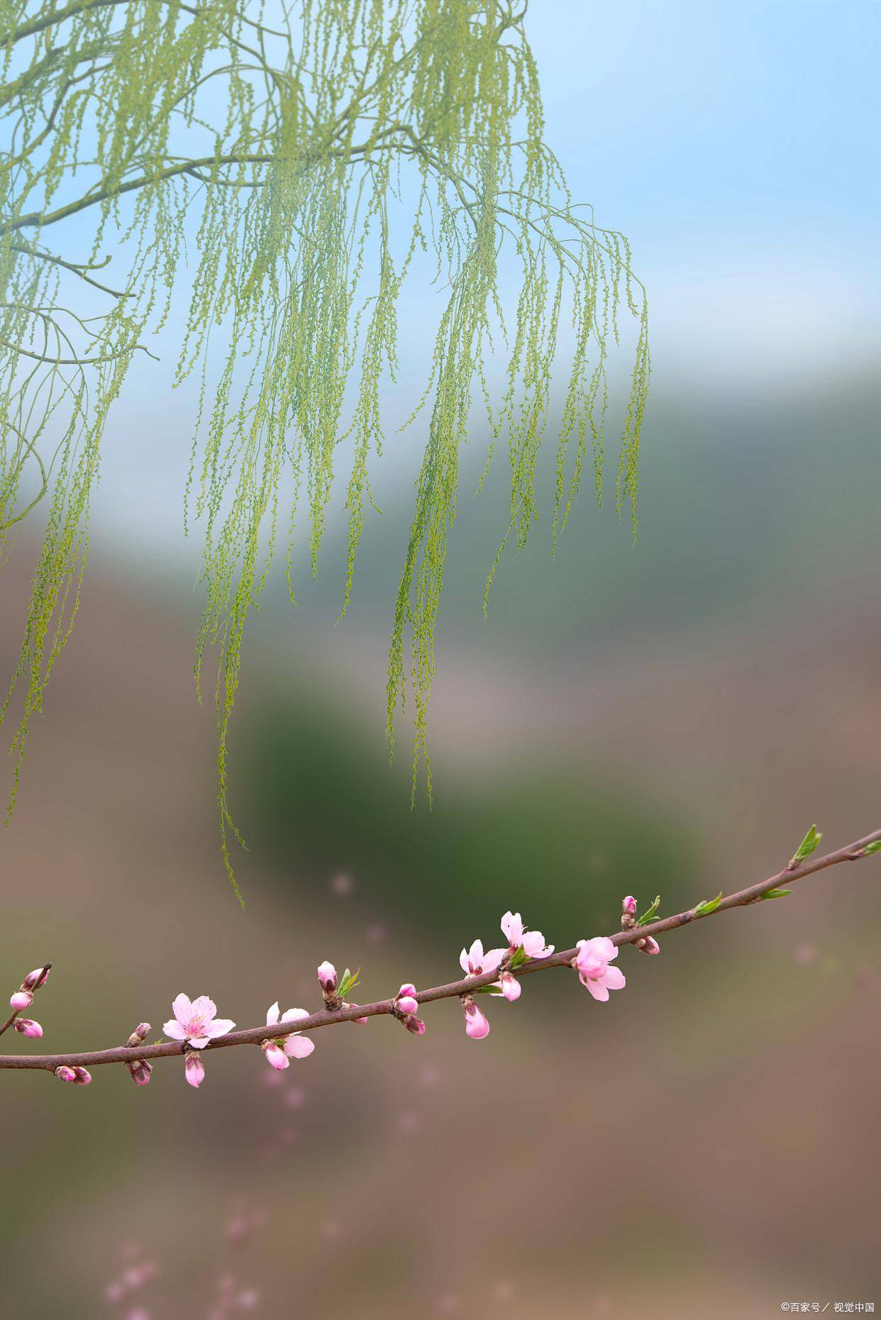 朝拜不必遠(yuǎn)去（詩歌）