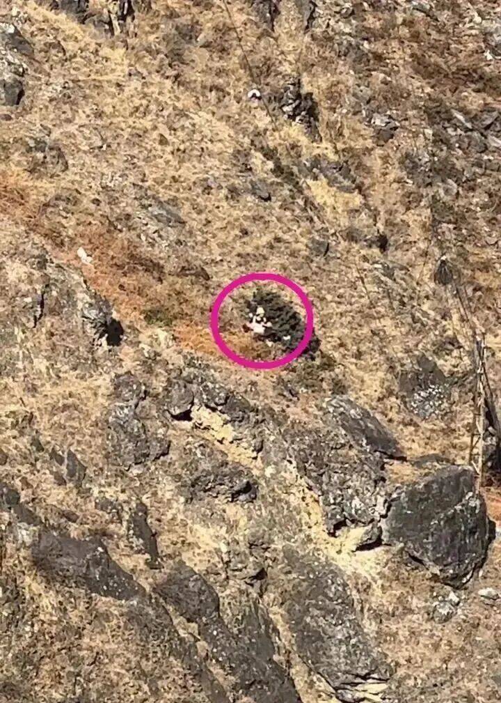 8歲男童大年初五墜崖不幸遇難！當(dāng)?shù)鼗貞?yīng)：和父母一起旅游，事發(fā)地屬未開放區(qū)域