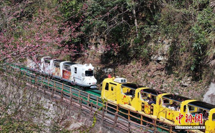 湖南張家界旅游市場持續(xù)火熱 各景區(qū)游人如織