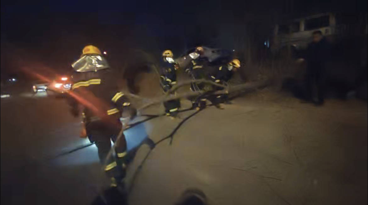 大風(fēng)天昌平消防快速處置倒伏樹(shù)木，提示市民注意出行安全