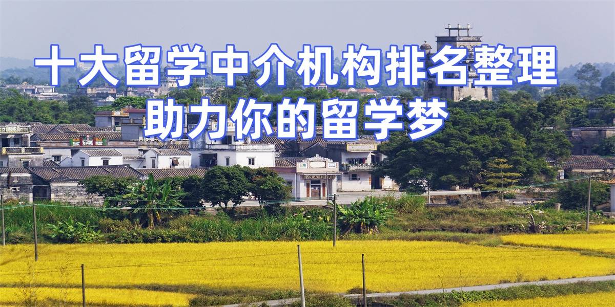 考研后留學(xué)申請(qǐng)，南京留學(xué)中介top10推薦，助力考研生順利轉(zhuǎn)留學(xué)