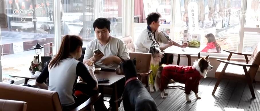 透過“科技旅拍”“電子年貨”“冰雪+寵物”解鎖春節(jié)消費新亮點