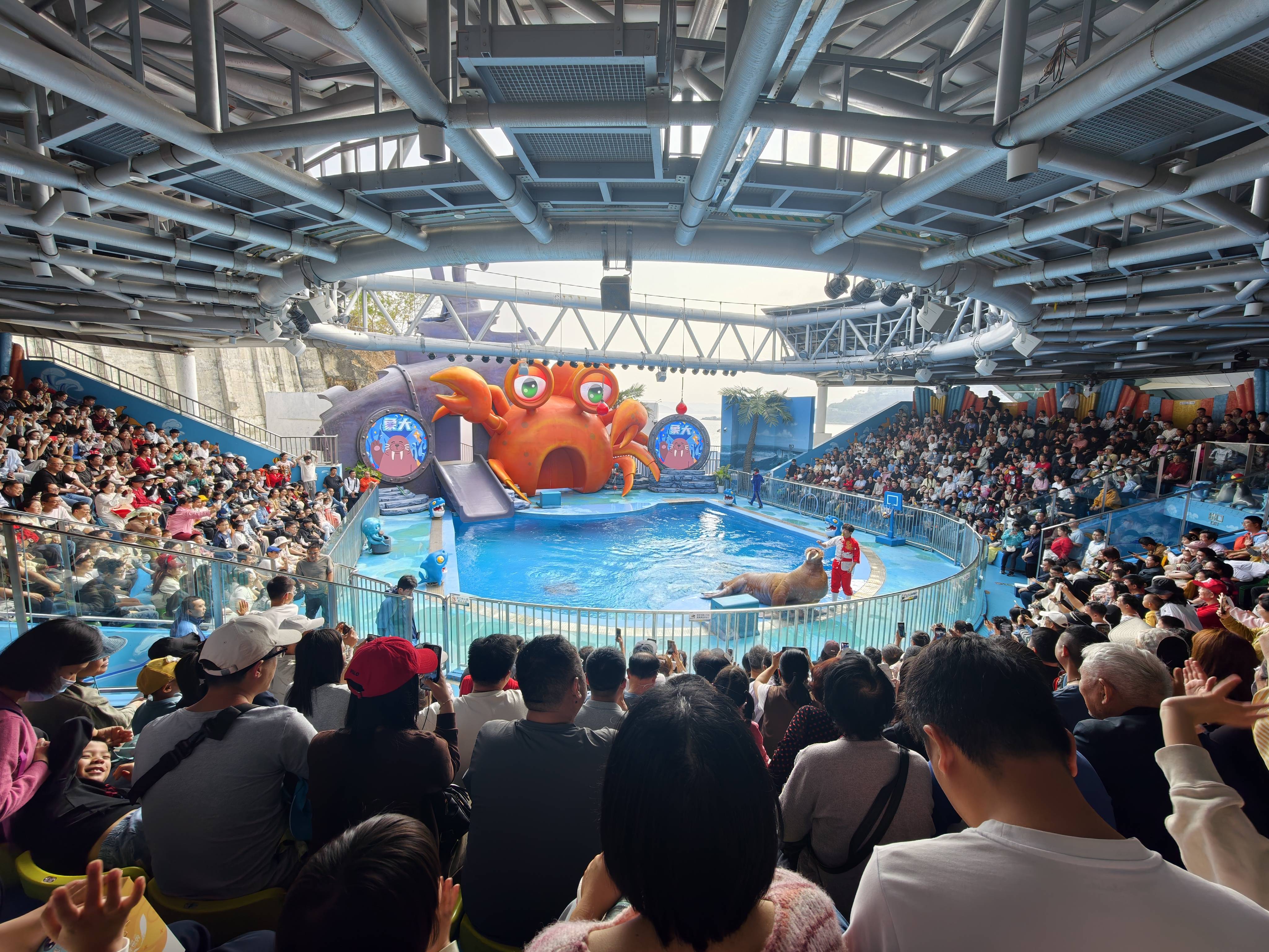 穩(wěn)居春節(jié)全國旅游熱門榜 深圳文旅憑實力火出圈